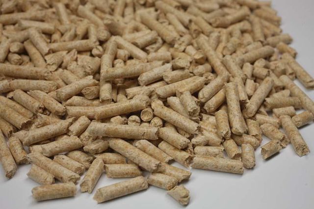 Premium Wood Pellets | ENplus A1 Wood Pellets | Biomass Fuel Pellets | Industrial & Heating Grade - Image 3