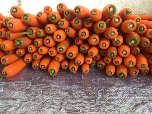 Fresh Egyptian Carrots Sweet & Crunchy | Grade A Export Color Bright Orange Average Size 12–18 Cm Average Weight 60–80 - Image 1