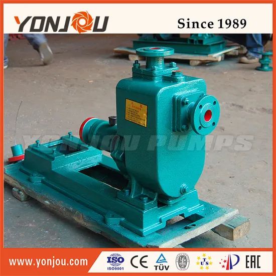 Zx Self Priming Stainless Steel Ballast Pump - Image 6