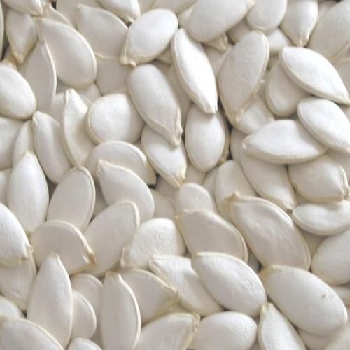 Snow White Pumpkin Seeds Admixture 0.2% Max Size 11 Cm And 13 Cm Packaging 50 KG BAGS Imperfect Seeds 3% Max Moisture Content 8% Max - Image 1