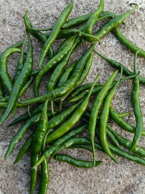 Green chili and red chili - Image 1