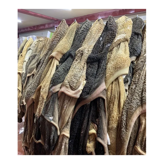 FROZEN BEEF TRIPE, FROZEN COW STOMACH ,BEEF FROZEN PRODUCTS - Image 3