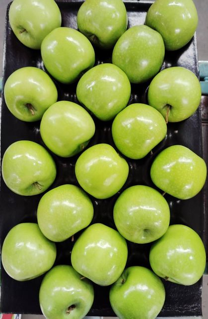 Fresh Quality Granny Smith Apples for sale Calss 1 Export Quality Grade Premium Packing - Image 3