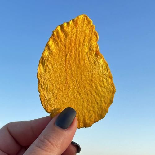 Premium Dried Mango Slices - Image 1