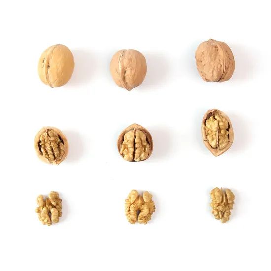 Brain Health Raw Nuts Snacks Walnut Kernel 20FT 8mt Storage Shade Trademark sugo Processing Raw Origin Xinjiang Model NO. - Image 2