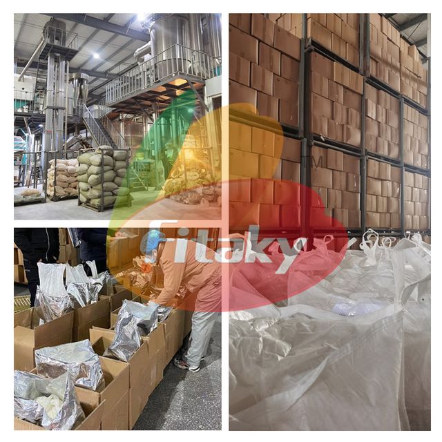 Freeze Dried Mango Wholesale Bulk Vacuum Freeze Dried Mango Freeze Dried Fresh Mango - Image 4