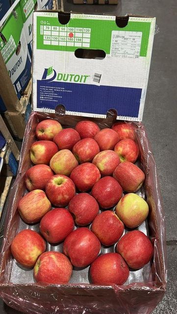 Fresh Gala, Golden, And Red Apples - Image 4