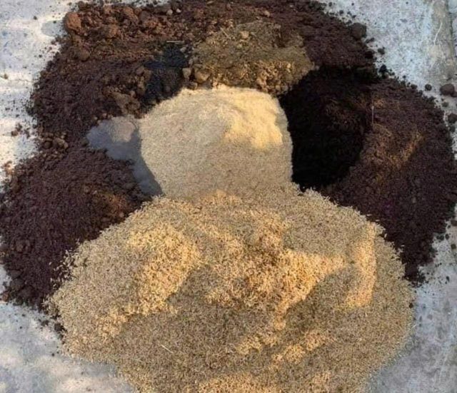 Natural Sugarcane Bagasse Powder Content None Origin Thailand Shelf Life 12 Months Sugarcane Bagasse Powder N/A, N/a Sto - Image 2