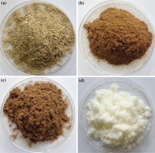 Natural Sugarcane Bagasse Powder Manufacturer Piyada Brand Name Piyada Delta Place of Origin - Image 1