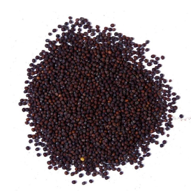 Wholesale Mustard Seeds with high purity and strong flavor for export - Image 4