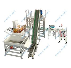 1kg-25kg Nails Screws Nuts Fasteners Boxes Cartons Packing Production Line - Image 4