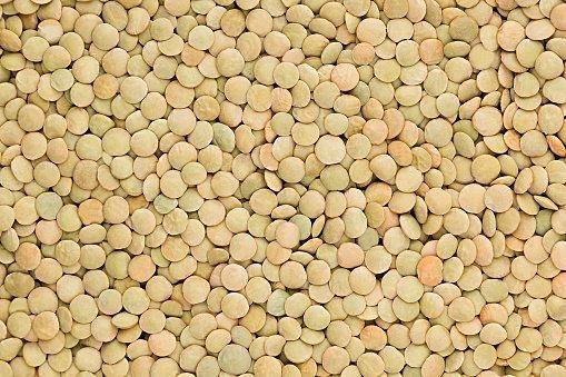 Dried Beans-Green Lentils- Green Lentils Whole (25kg) - Bulk Pack | Premium Quality | Buy Now 2 lbs – Edible Earth Farm Green Lentils (each) - Instacart - Image 1