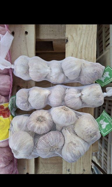 Garlic – product photo 7, product detail gallery