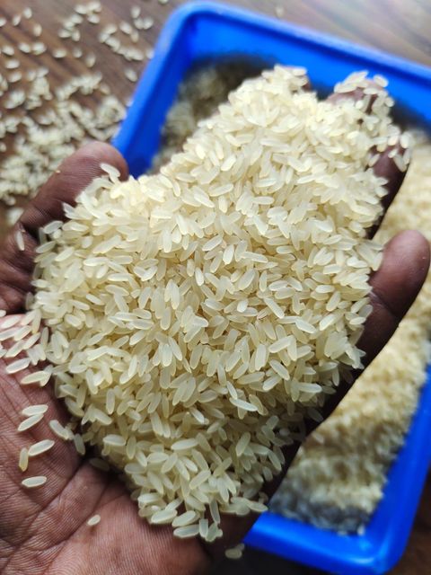 IR 64 PARBOILED RICE Packaging PP BAG Place of Origin INDIA Color Golden Or Yellow Moisture Content 14% Max Variety Ir64, Long Grain - Image 3