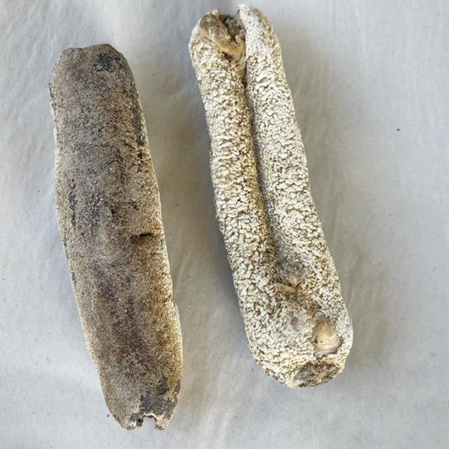 Sri Lankan Sea cucumber 100kg Natural Sun Dried Sand Fish, Disco, White Teat, Black Teat Sea cucumber - Image 2