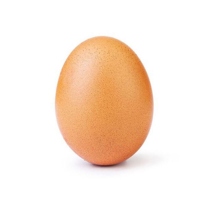 Fresh White and Brown Farm Chicken Eggs from GERMANY Style Fresh Brand Name EGG Variety Table Egg Color White & Brown Model Number MZ8310356 - Image 5