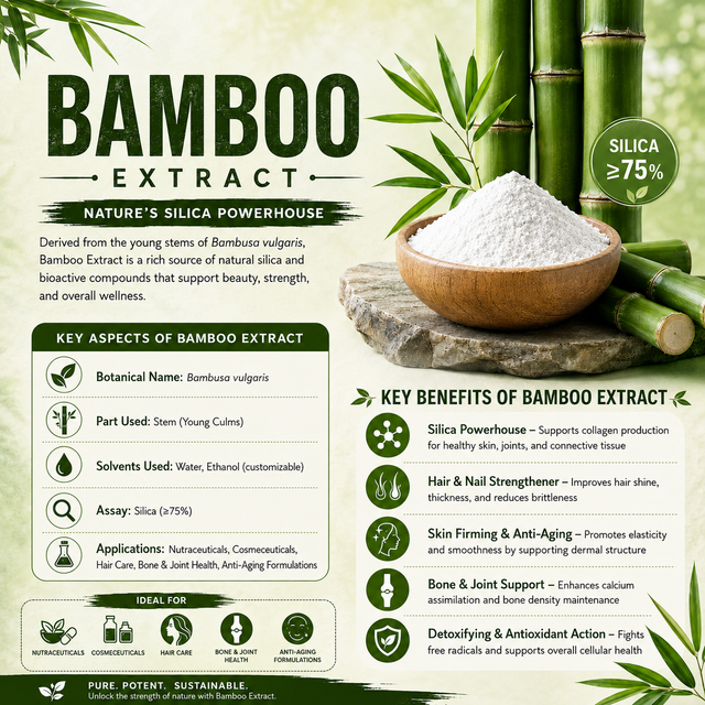 Standardized Bamboo Stem Extract 75% Silica Powder - Natural Bulk Botanical Raw Material - Image 1