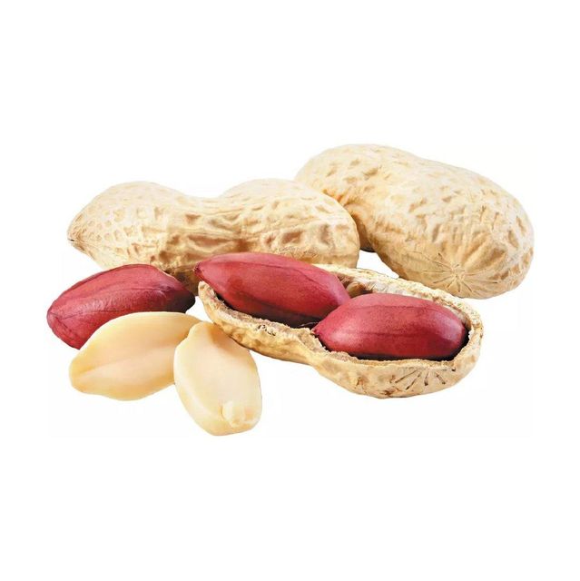 Premium Peanuts bulk supply wholesale cheap price nutritious nuts - Image 3