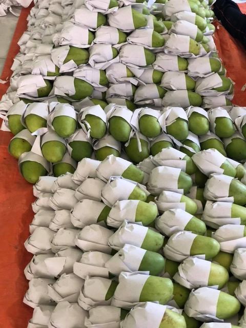 Fresh MangoPremium Quality Mango 100% Fresh Fruits - Linda Whatsap 0084 989 322 607 – product photo 3, product detail gallery