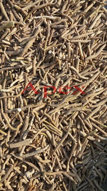 Ashwagandha Roots, Ashwagandha Root , Ashwagandha Root Supplier, Withania Somnifera Root, Withania Somnifera, Ashwagandha, Ashwagandha Root Supplier From India - Image 3