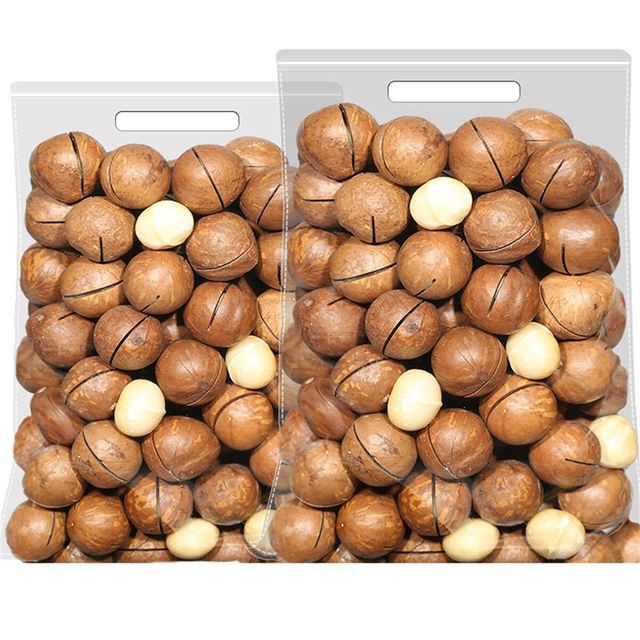 Wholesale Bulk Macadamia Nuts Fresh Dried Macadamia Nuts Perfect For Retail Or Large Scale Nut Packaging - Image 1
