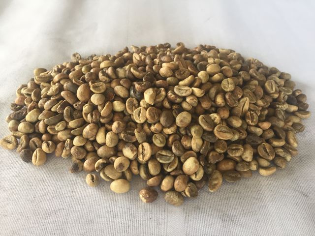 ROBUSTA GREEN COFFEE BEANS SERUNAI 100% Natural Hot Selling Indonesian Best Quality with Reasonable Best Price – product photo 2, product detail gallery