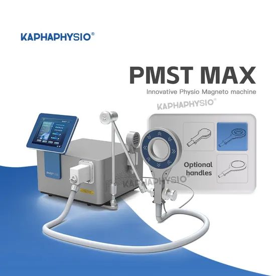 Physio Magneto CE Approved China Physiotherapy Equipment Physical Therapy Pmst Max - Image 2