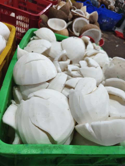 Desiccated Coconut High Fat 60%up, Low Fat 20%up - Image 4