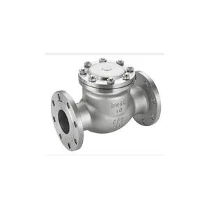 Stainless Steel Non Return Valves Swing Low Temperature Flange Float Check Valve - Image 4