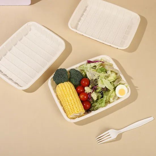 100% Compostable Disposable Cornstarch Tray Biodegradable Compostable Food Tray - Image 1