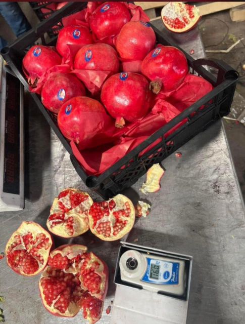 Pomegranates - Image 3