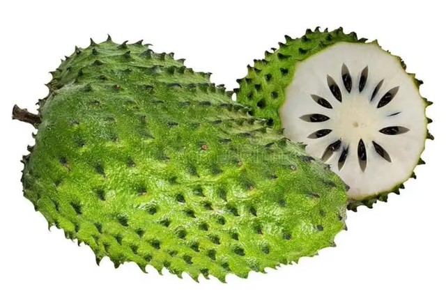 FRESH SOURSOP Weight (kg) 5 Packaging 5kg Place of Origin - Image 2