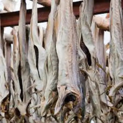 Good Quality Dry Stock Fish From Norway / Dry Stock Fish Head / Dried Salted Cod Wholesale - Image 3