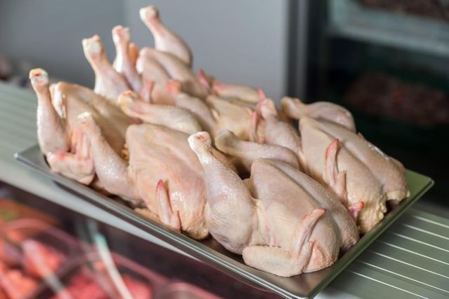 High Quality Halal Frozen Whole Chicken | Wholesale Halal Frozen Whole Chicken for Sale | Halal Frozen Whole Chicken - Image 4