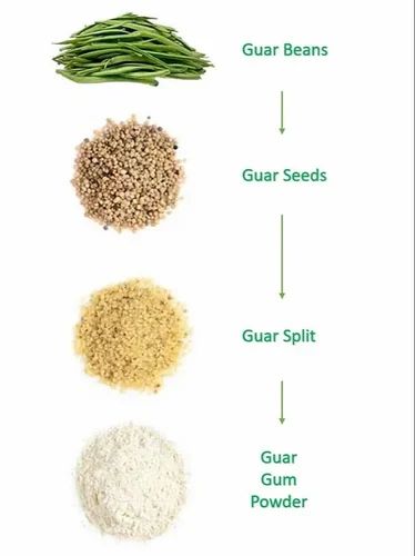 Premium Food Grade Guar Gum Powder-ISO&HALAL Certified Shelf Life 24 Price Usd 3/kg Quality PREMIUM Max. Moisture (%) 10 - Image 4