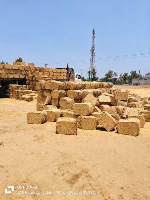 Wheat Straw Bale A+ Premium Crystal Quality | Pakistan Export | Livestock Feed Bulk Supplier - Image 4