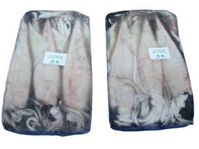 SQUID CUTTLEFISH OCTOPUS WHOLE CLEANED FROZEN SEAFOOD PRODUCT - Image 4