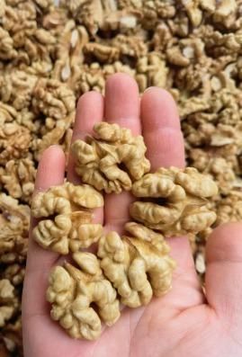 Premium 185 Paper-Shell Walnuts | In-shell Walnuts | Chinese Walnuts | Nuts & Dried Fruits Supplier | High Kernel Rate Walnut Kernels - Image 4