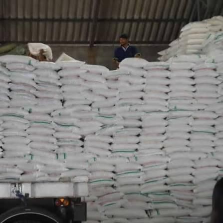Icumsa 45 Sugar Whole Sale Thai Manufacture 50kg 25kg Bags Refined Unrefined Sugar - Image 2