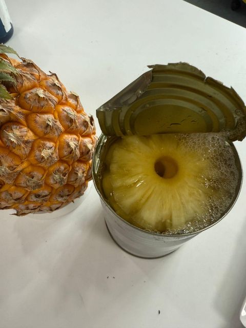 Canned Pineapple Price Negotiation Lead Time 25-30 Days Mango Can Size 565/300 Lychee Can Size 565/230 Pineapple Can Size - Image 2