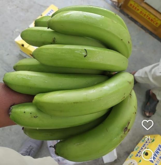 FRESH BANANA - Image 3