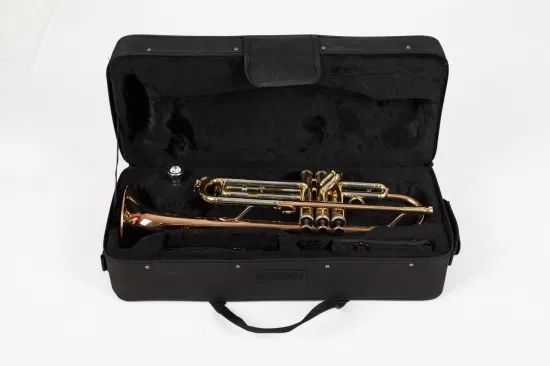 Wholesale Trumpet, High Quality Musical Instruments, Cheap Price Gift - Image 6