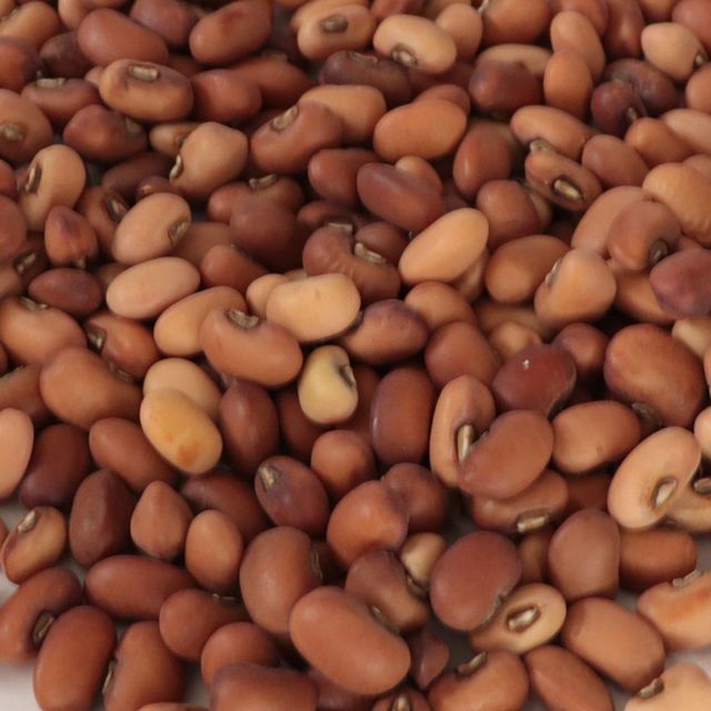 Wholesale Dried Cowpeas Seed Black Eye Beans Kacang Otok Pink Cowpeas Price - Image 2