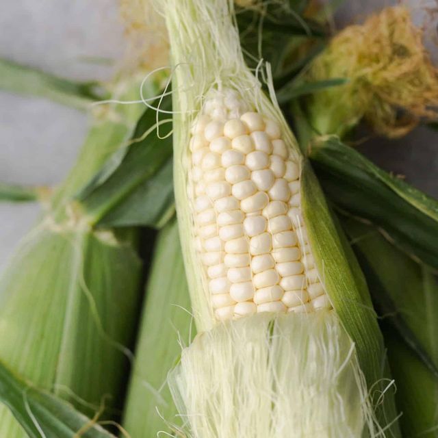 Fresh White Corn Packed For Processing White Corn With Moisture 100% Optimized For Milling And Food Manufacturing - Image 1