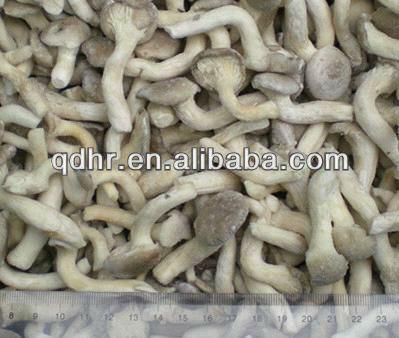 Frozen mushroom - Image 5