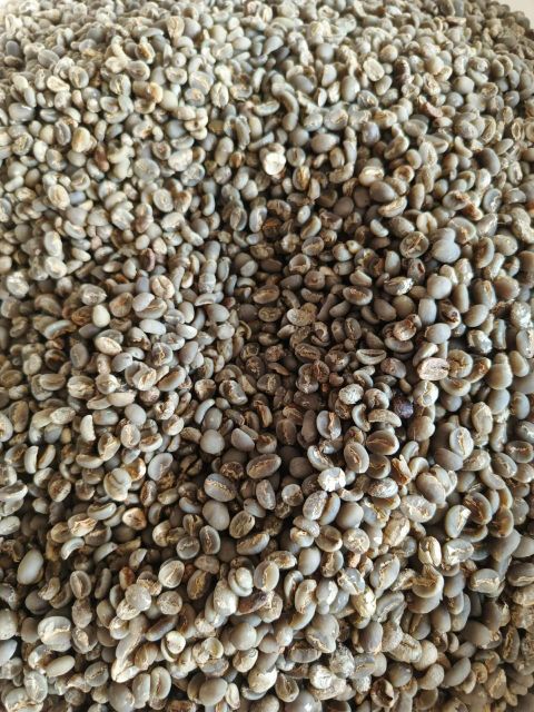 premium Indonesian Green Bean Coffee - Image 1