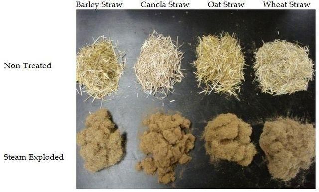 Natural Sugarcane Bagasse Powder - Image 2