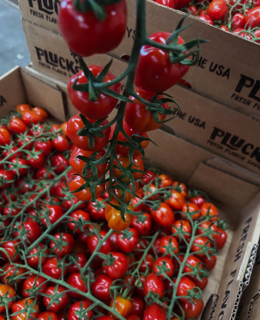 Experience the Vibrant Taste of Fresh Cherry Tomatoes Premium Fresh Cherry Tomatoes 13Kg Cartons On Sale - Image 3