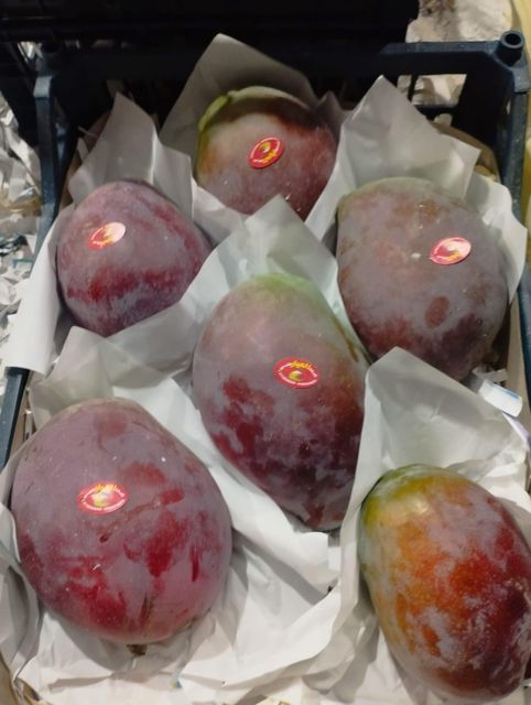 Fresh Mango - Image 2
