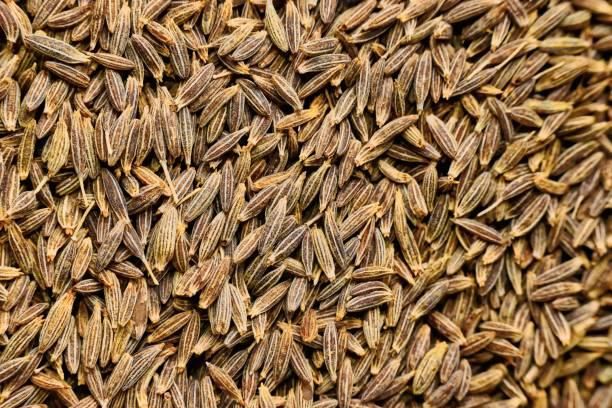 Spices & Dehydrated Vegetables Origin Asia, India Packaging 1 kg, 250 g, 500 g, other sizes are also availabe Product Type Dehydrated Vegetables, Spices, Spices, Seasonings & Flavors - Image 3